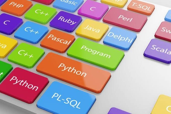 Top Languages for Web Development